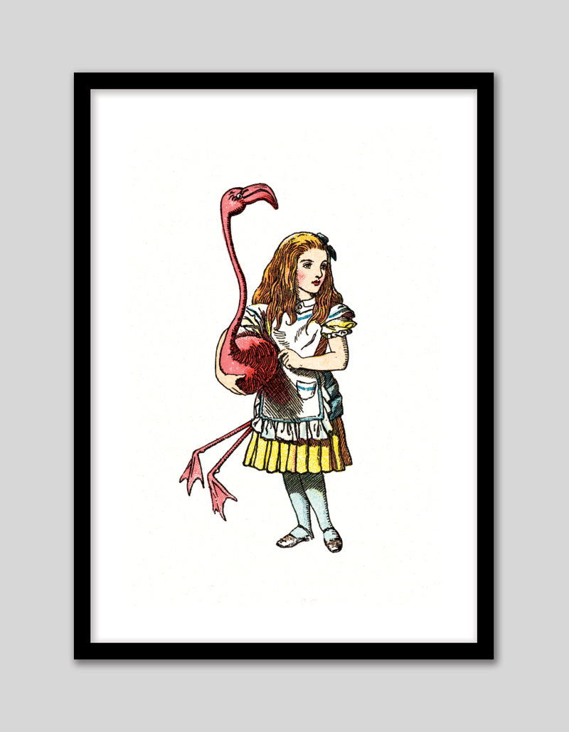 Alice and the Flamingo