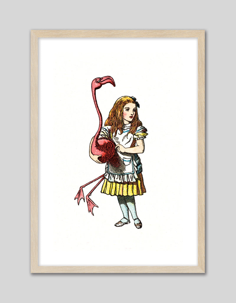 Alice and the Flamingo