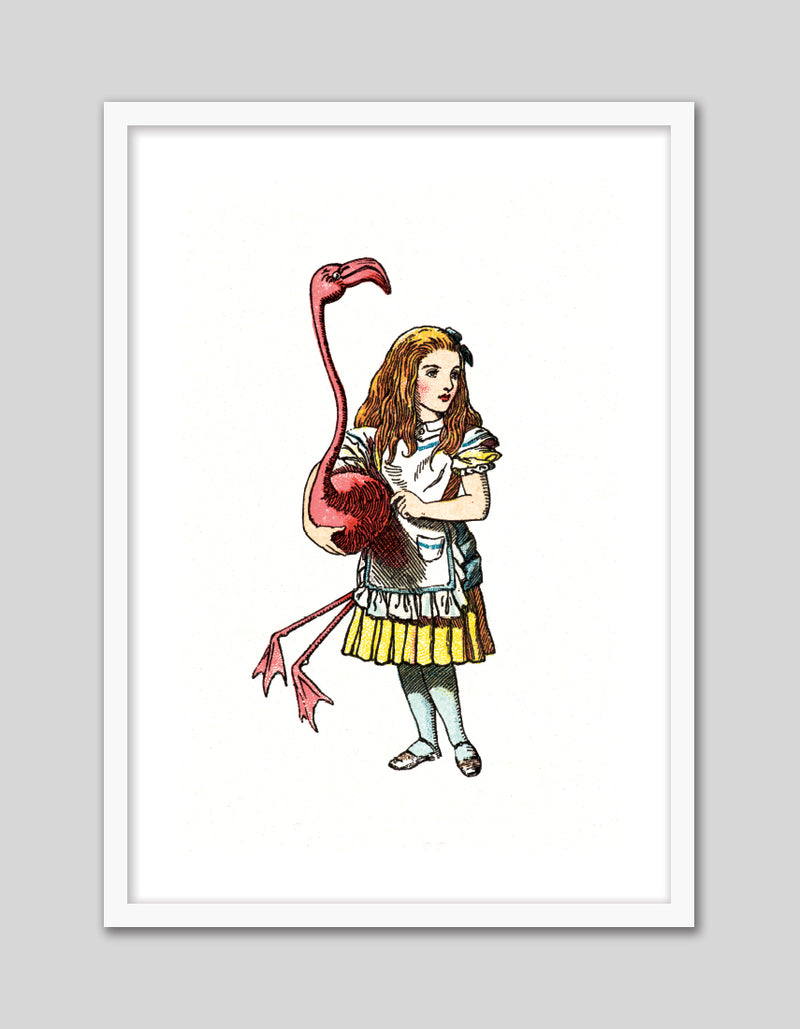 Alice and the Flamingo