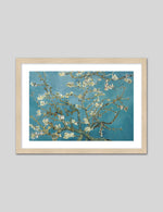 Almond Blossom by Vincent van Gogh - Vintage Floral Art Prints - The Good Poster Company