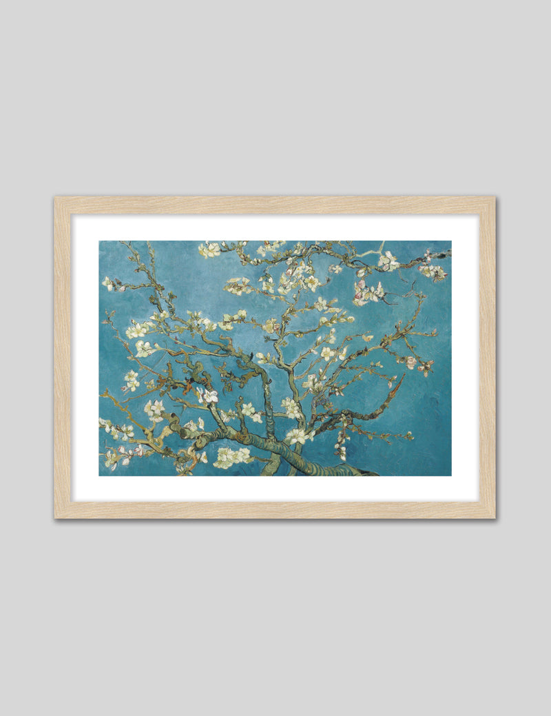Almond Blossom by Vincent van Gogh - Vintage Floral Art Prints - The Good Poster Company