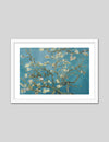 Almond Blossom by Vincent van Gogh - Vintage Floral Art Prints - The Good Poster Company