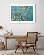 Almond Blossom by Vincent van Gogh - Vintage Floral Art Prints - The Good Poster Company