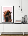 Beach Horse