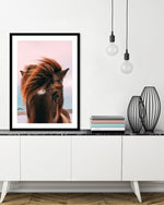 Beach Horse