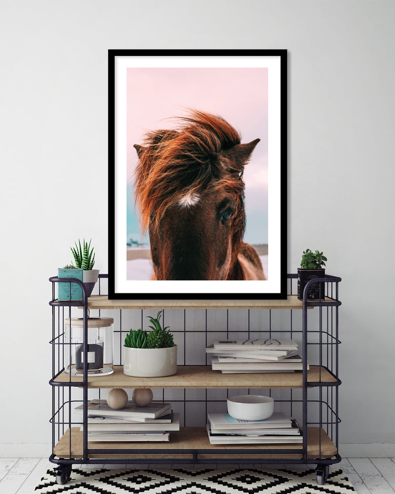 Beach Horse