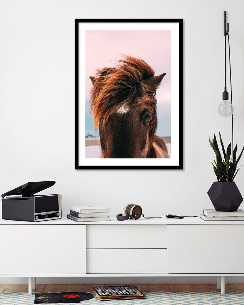 Beach Horse