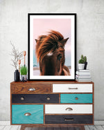 Beach Horse