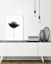 Black Dried Poppy Art Print | Black and White Art | The Good Poster Company