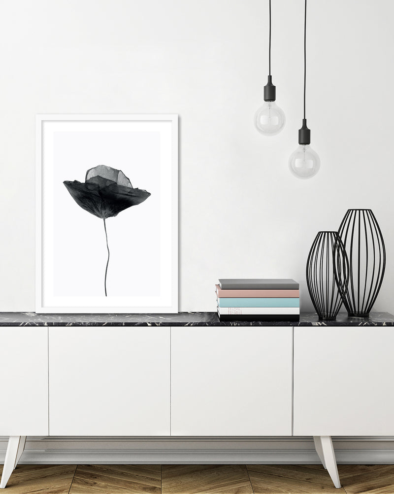 Black Dried Poppy Art Print | Black and White Art | The Good Poster Company