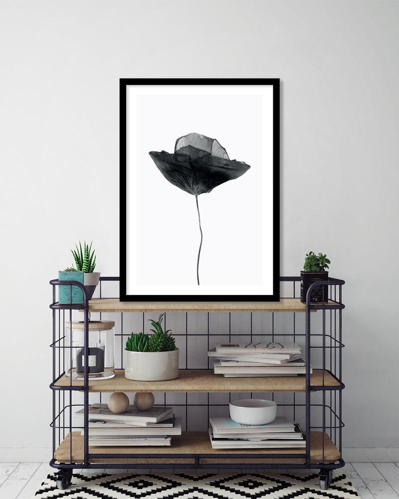 Black Dried Poppy Art Print | Black and White Art | The Good Poster Company