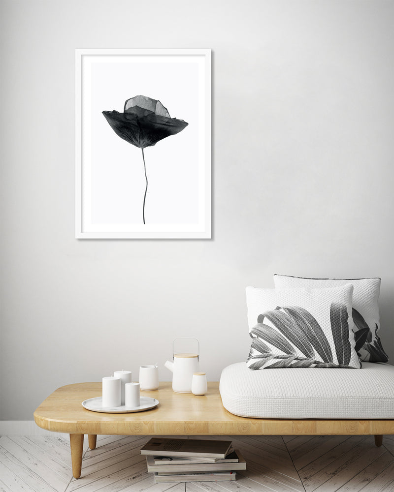 Black Dried Poppy Art Print | Black and White Art | The Good Poster Company