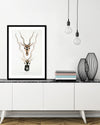Indian Antelopes Art Print by John Gray | Vintage Animal Art | The Good Poster Company