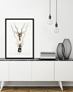Indian Antelopes Art Print by John Gray | Vintage Animal Art | The Good Poster Company