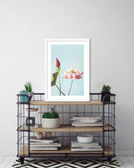 Lotus Flower Art Print by Ogawa Kazumasa - Vintage Japanese Art - The Good Poster Company