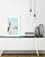 Lotus Flower Art Print by Ogawa Kazumasa - Vintage Japanese Art - The Good Poster Company