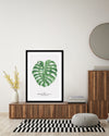 Monstera Leaf