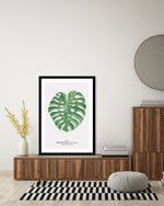 Monstera Leaf