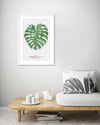 Monstera Leaf