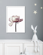 Botanical Art Prints | Pink Peony Photographic Artwork  | The Good Poster Company