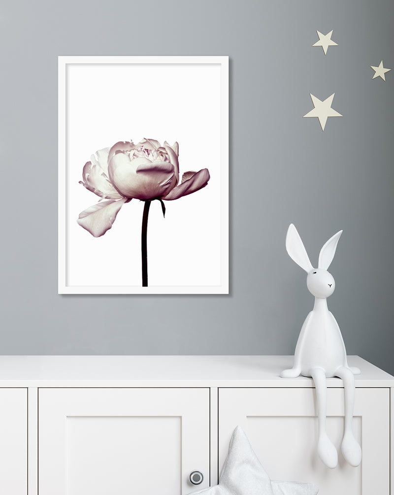 Botanical Art Prints | Pink Peony Photographic Artwork  | The Good Poster Company