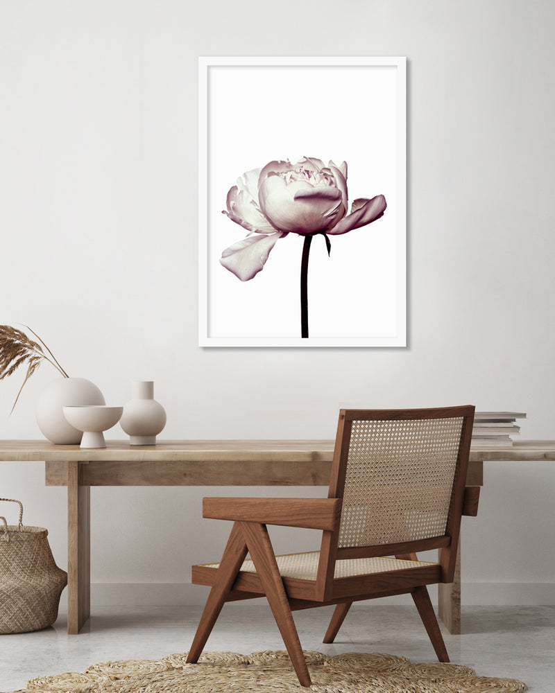 Botanical Art Prints | Pink Peony Photographic Artwork  | The Good Poster Company