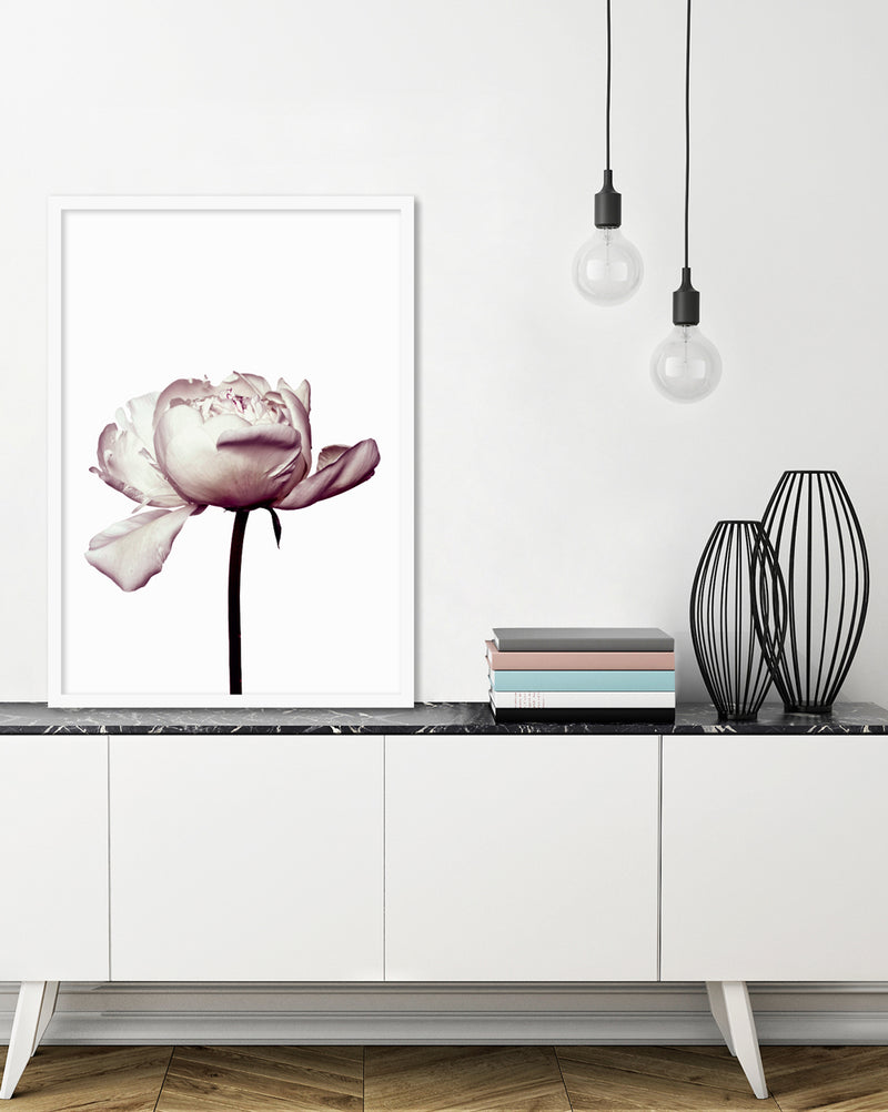 Botanical Art Prints | Pink Peony Photographic Artwork  | The Good Poster Company