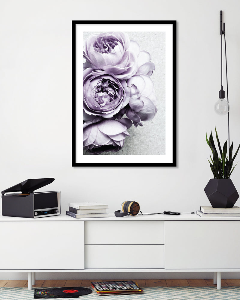 Floral Art Prints | Botanical Artwork | The Good Poster Company