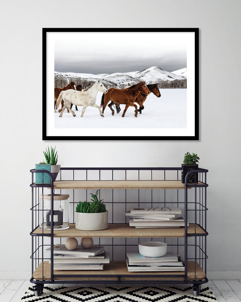 Snow Horses