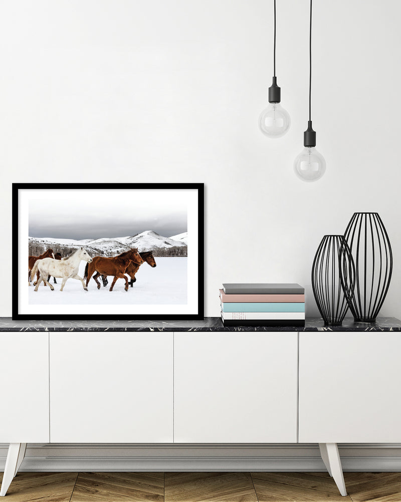 Snow Horses