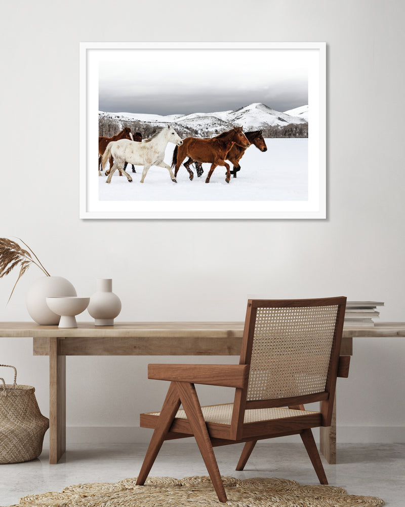 Horse Photographic Art Print | Contemporary Art | The Good Poster Company