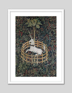 The Unicorn in Captivity Art Print by Anonymous | Vintage Poster Art | The Good Poster Co.