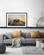 Bison Crossing Art Print | Animal Art