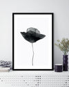 Black Dried Poppy Art Print | Black and White Art