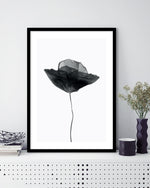 Black Dried Poppy Art Print | Black and White Art