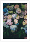 Floral Art Print NZ | Botanical Art | The Good Poster Co.