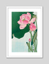 Blooming Lotus Art Print by Ohara Koson