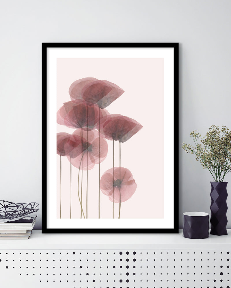 Contemporary Dried Poppies Art Print