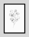 Plant Artwork NZ | Black and White Art Prints | The Good Poster Co.