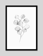 Plant Artwork NZ | Black and White Art Prints | The Good Poster Co.