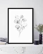 Plant Artwork NZ | Black and White Art Prints | The Good Poster Co.