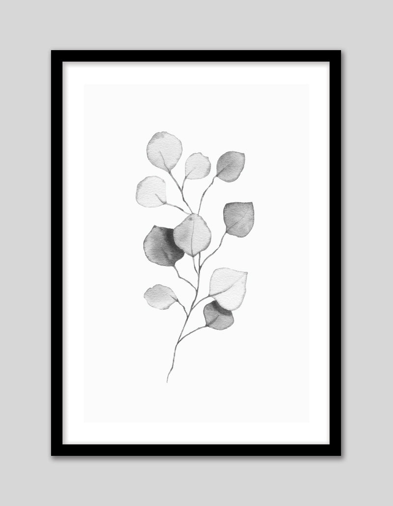 Plant Artwork NZ | Black and White Art Prints | The Good Poster Co.
