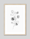 Plant Artwork NZ | Black and White Art Prints | The Good Poster Co.