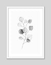 Plant Artwork NZ | Black and White Art Prints | The Good Poster Co.