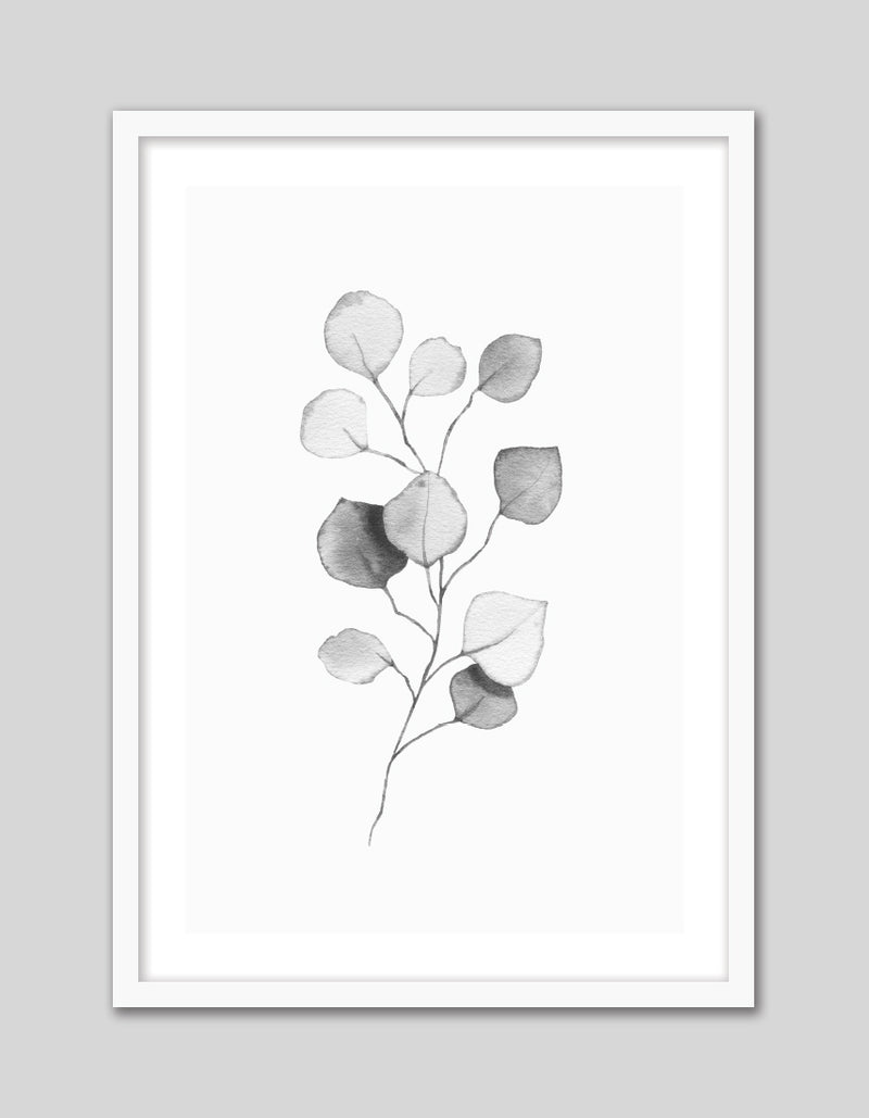 Plant Artwork NZ | Black and White Art Prints | The Good Poster Co.