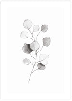 Plant Artwork NZ | Black and White Art Prints | The Good Poster Co.