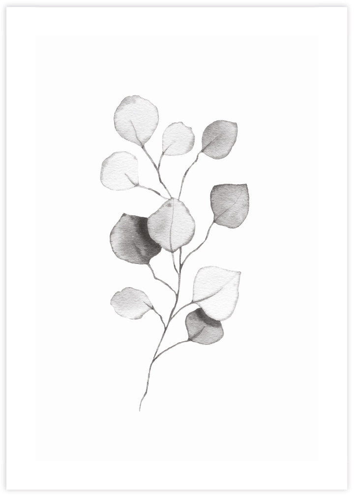 Plant Artwork NZ | Black and White Art Prints | The Good Poster Co.