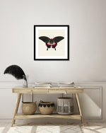 Gothic Butterfly Art Print by George Shaw | Vintage Art | The Good Poster Co.