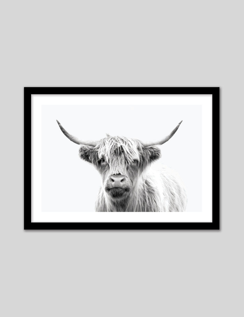 Contemporary Highland Cow Art Print | Animal Art Prints | The Good Poster Co.