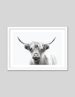 Contemporary Highland Cow Art Print | Animal Art Prints | The Good Poster Co.